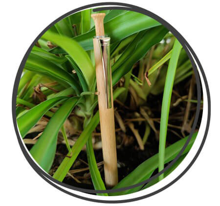 UMA Forest PEFC Kugelschreiber Natur